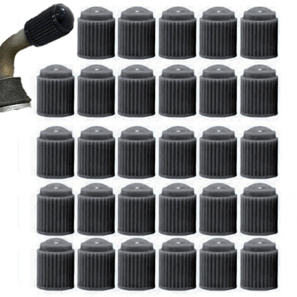 Tire Valve Caps Plastic With Rubber Seal 30 Pcs 974856945979