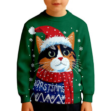 Boys Graphic Crewneck Sweatshirt Warm Fleece Pullover