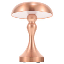Lampa Boird Muisiriún Iarainn Órga le Gné Maolaithe Tadhaill, Lampa Beag Stíl Nordach Nua-Aimseartha le haghaidh Maisiú Baile