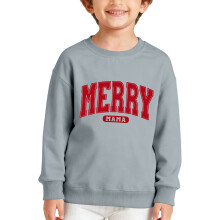 Boys Letter Print Crewneck Sweatshirt Long Sleeve