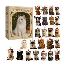 Calendrier de l'Avent pour enfants, coffret surprise de 24 décorations de chat en acrylique, boîte avion 2D stéréoscopique.