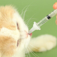 11 Pieces Pet Feeding Bottles Newborn Small Animal Milk Bottle Nipple Feeder For Puppy Nursing