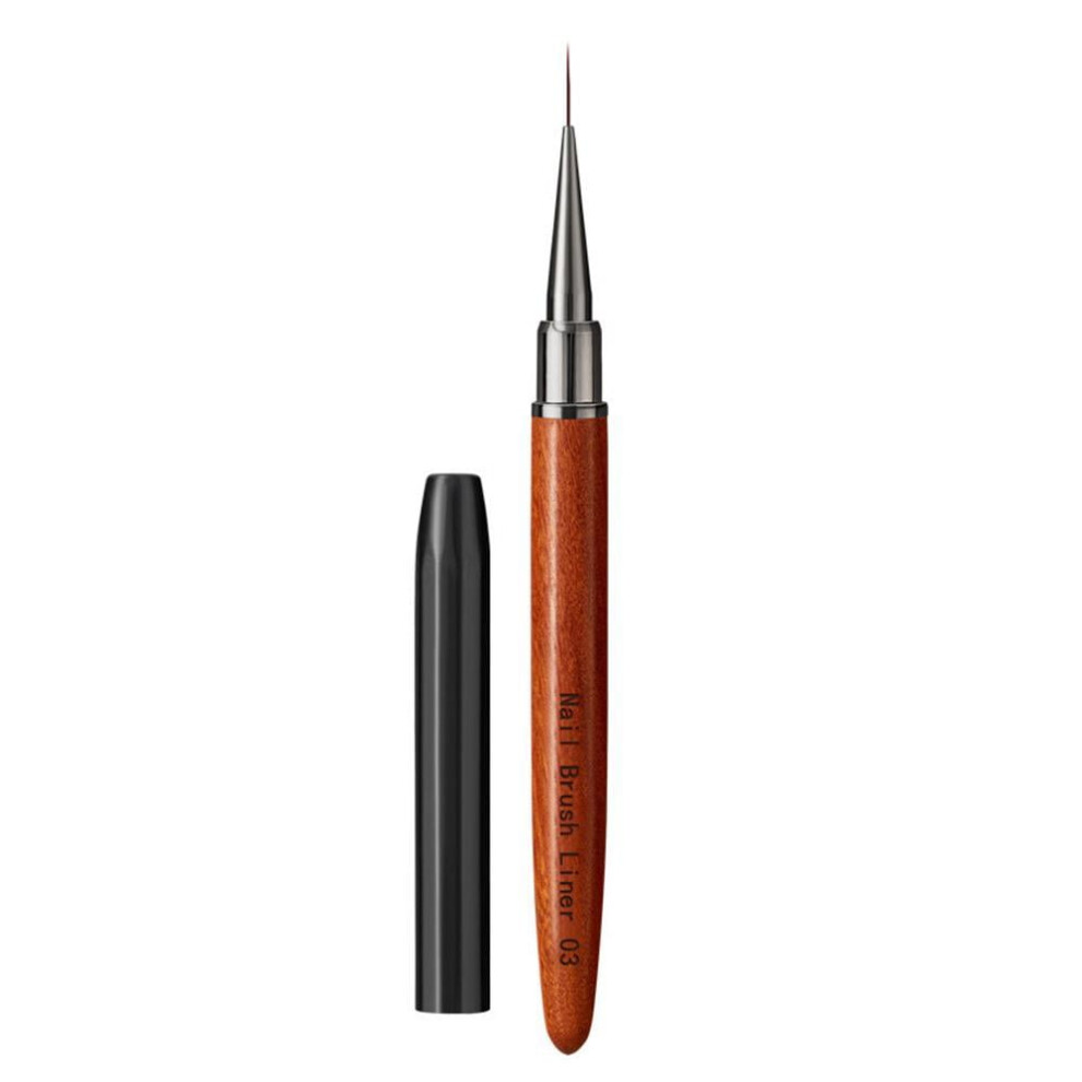 Nail Art Brushes Pen Nail Brush For Flower, Petal Polish Gel & Leaves