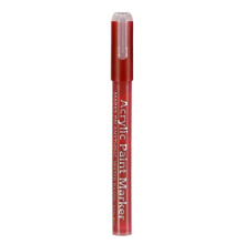 Nail Art Polish Pens, Acrylic Paint Pen, Nail Point Graffiti Dotting Pen, Drawing Painting Liner Brush for Nail Art Beauty Adorn Manicure Tools