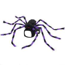 Halloween spinnenhondenkostuum, grappige huisdiertransformatie