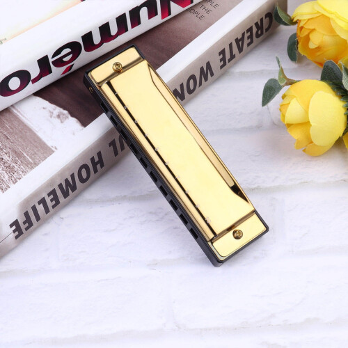 Harmonica doré pour débutants, 10 trous et son réactif