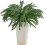 Branches artificielles de pin Norfolk 45 cm (6 pièces) 1