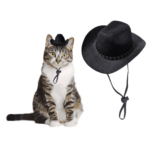 Καπέλο Cowboy για Σκύλους και Γάτες Μαύρο M