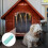 Flap Transparente De Remplacement Pour Porte Chien En Vinyle 2