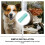 Flap Transparente De Remplacement Pour Porte Chien En Vinyle 3
