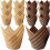 200 Stück Cake Backförmchen Tulpenform Papier Cupcake Muffin Liner 5