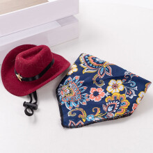 Chapéu de cowboy e bandana para cachorro, chapéu sombrero para cachorro e gato, fantasia para cachorro e gato, chapéu cosplay, boné para