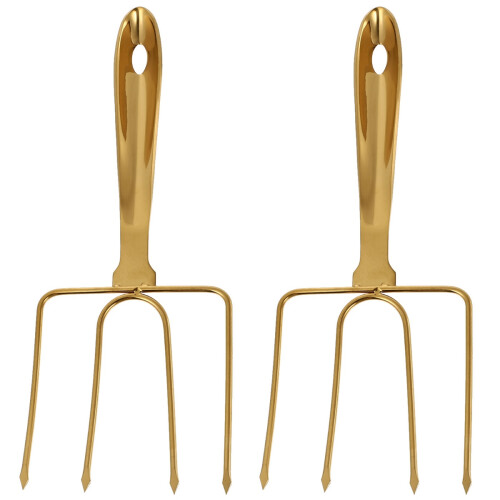 2Pièces Barbecue Acier Pour Viande Poulet Rôti