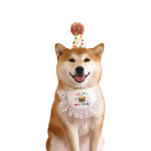 Pet Birthday Hat with Sequins Tassels Bib Dresses up Hat Outdoor Travel Photography Pet Bib Fashion Pet Birthday Hat