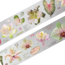 Aesthetic Reusable PET Art Sticker, Easy to Tear Without Residues, for Scrapbook