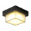 Outdoor waterproof ceiling light iron modern pendant 1