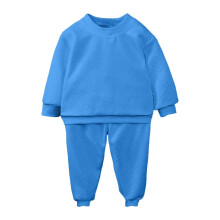 Kids' 2-Piece Hoodie Set – Soft Pullover & Matching Bottoms, Cozy Casual Outfit for Ages 2–10, School & Play