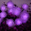 Blomslinga Batteridriven 20LED 1