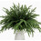 Branches artificielles de pin Norfolk 45 cm (6 pièces) 1