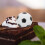 Διακοσμητικά για cupcakes ποδοσφαίρου, πολύχρωμα βινύλια για πάρτι γενεθλίων και 1