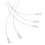 5Pcs Lightweight Plastic Birds Feeding Accessory for Baby Parrots 3