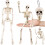 Décoration squelette d'Halloween, 40 cm, membres articulés 1