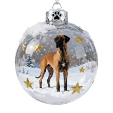 Décorations de Noël pour chiens - Lot de 12 ornements 2D en acrylique incassables, idéal pour décorer le sapin. Parfait pour les amoureux des
