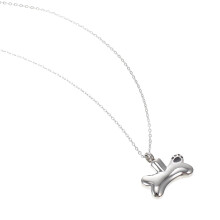 Gedenkmedaillonketting van titaniumstaal