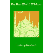 The New World of Islam