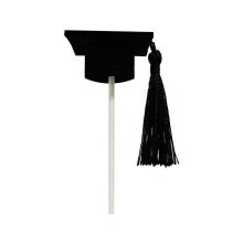 Mini adorno para pastel con gorro de graduación de médico, banda y tarjeta de inserción – Compatible con artículos para fiestas de graduación