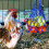 2 Stk. Hühnerfutterautomaten, Tierwelt-Mesh-Beutel, Hängender Zubehör 4