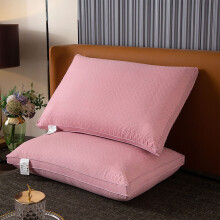 Oreiller Queen Pillow Core à haute résilience et soutien indéformable pour dormir sur le dos, le ventre ou le côté, 51 x 76 cm, rose