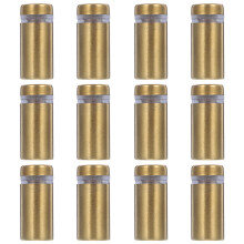 60Pcs Golden Stainless Steel Wall Standoff Nails for Picture Frames