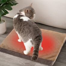 Almofada removível e lavável para cães e gatos – Tapete macio para sofá, adequado para todas as estações, antiderrapante, espuma de alta