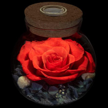 Preserved Real Roses in Colorful Mood Light Wishing Bottle – Eternal, Never Withered, Table Decor for Christmas, Anniversary, Valentine's –