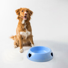 Ciotola anti-ribaltamento per cani e gatti, adatta per cibo e acqua, dimensioni 6,88 x 5,11 x 2,28 pollici (blu)