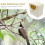 Parrot Breeding Nest Box for Bird Cage Mounted Plastic Cockatiel 11