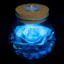 Preserved Real Roses in Colorful Mood Light Wishing Bottle, Eternal Rose Gift for Women – 4.3" (Light Blue), Compatible with Christmas, Anniversary,
