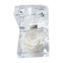 Romantic Valentines Day Preserved Flower Rose Never Withered Rose Gift For Valentine's Day Birthday And Anniversary With Drawer Gift Box