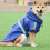 Dog Raincoat Hooded Adjustable Waterproof Lightweight 1