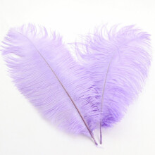 Colorful Ostrich Feathers 30-35cm – Decorative Plumes for Wedding, DIY, Stage & Party Decor