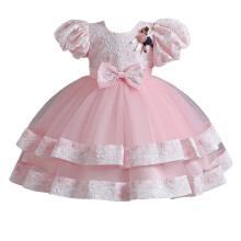 Pink Princess Gown for Girls 4-6 Years: Tulle Dress with