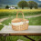 Picnic Fruit Basket Storage Wicker Basket With Lid 5