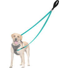 Two-Point Control Leash Compatible with No-Pull Harnesses, Tangle-Free, Padded & Reflective, Converts to Single Leash for Medium/Large Dogs