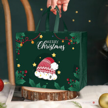 Grüne Weihnachtsgeschenktasche aus Vliesstoff, 32 x 25 x 17 cm