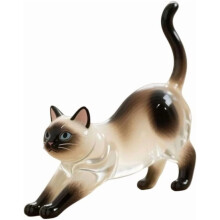 Cat Hair Memorial Pendant with Transparent Storage Box