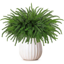 Lot de 6 branches artificielles de pin Norfolk de 45 cm (18 pouces) pour guirlandes de Noël, couronnes et loisirs créatifs – Compatibles avec les