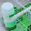 5St Multi Kleur Vogel Drinkbak En Kleine Vogels 8