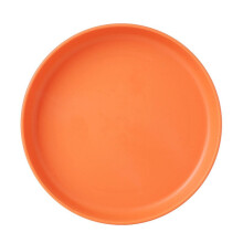 Shallow Cat Food Bowl Set (5.9") for Whisker Fatigue Relief – Compatible with Kittens & Small Dogs