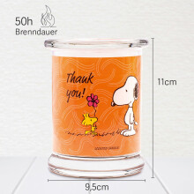 Peanuts Scented Candle - Glass Jar, Home Fragrance